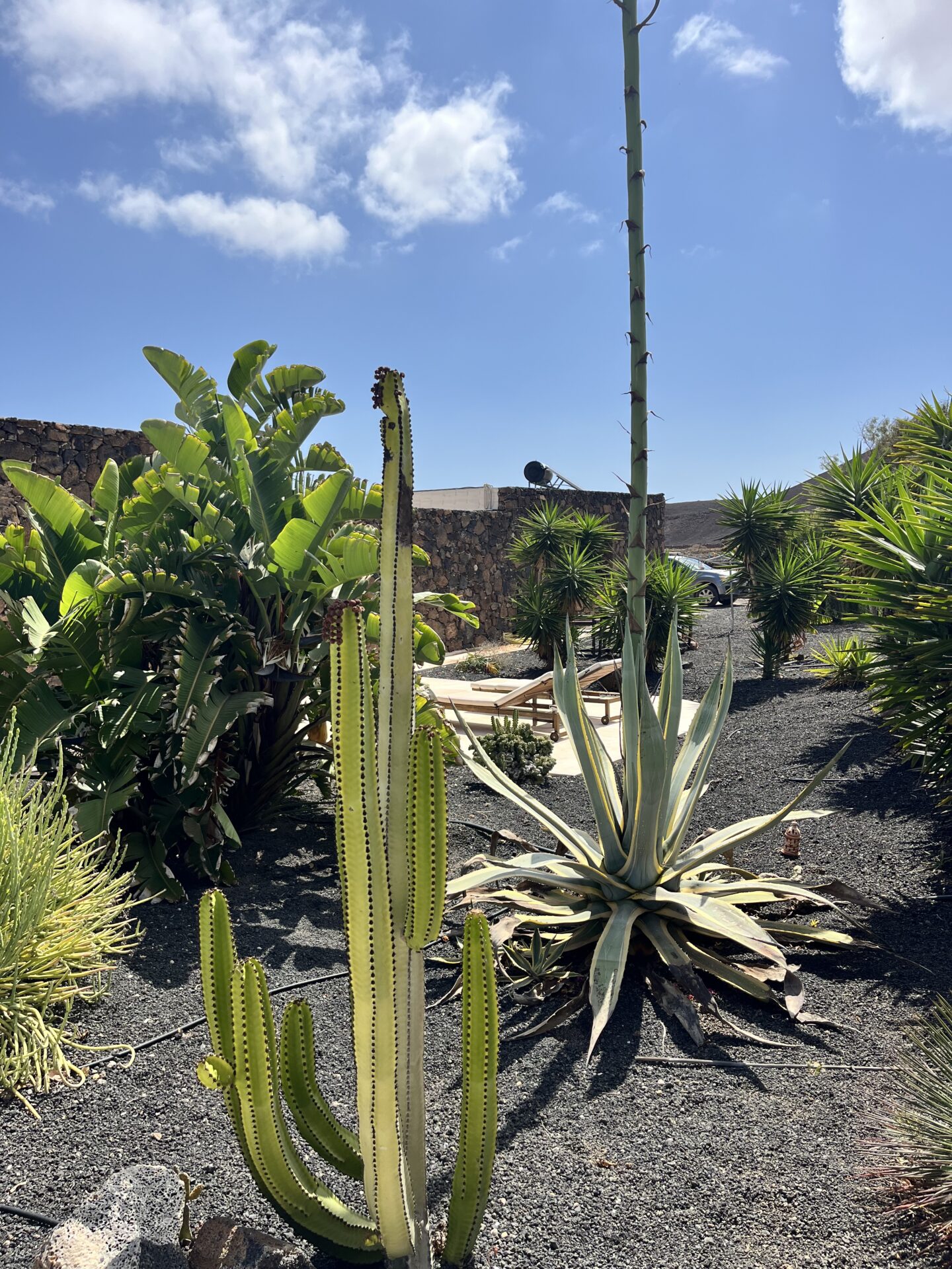 Fuerteventura, Canary Island Yoga & Sound Bath Retreat, Moonlala