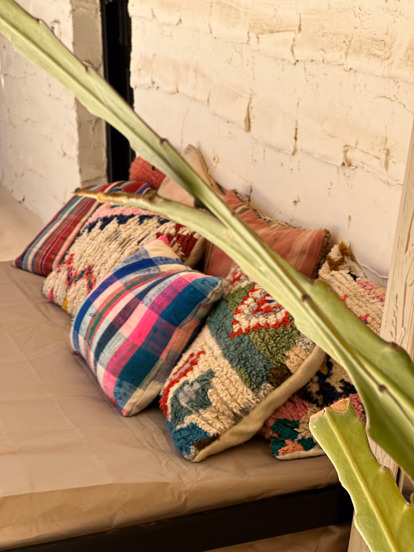 Fuerteventura, Canary Island Yoga & Sound Bath Retreat, Moonlala